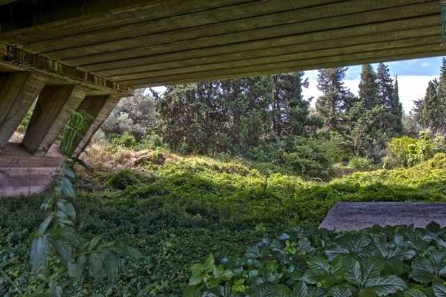 Lama Giotta, il selvaggio e lussureggiante "fiume verde" che attraversa Torre a Mare